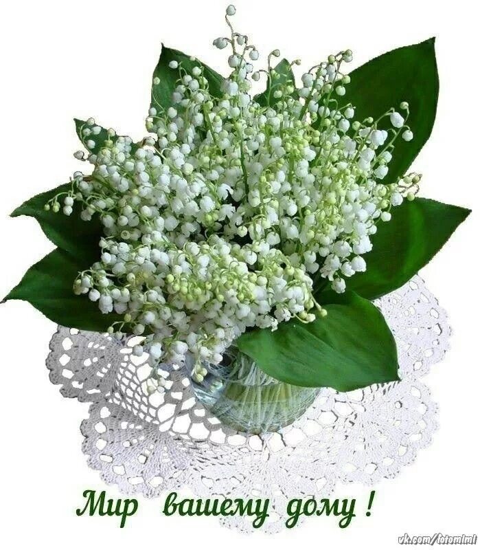Картинка ландыши с днем рождения женщине Pin by Lina on Напитки Herbs, Cabbage, Vegetables