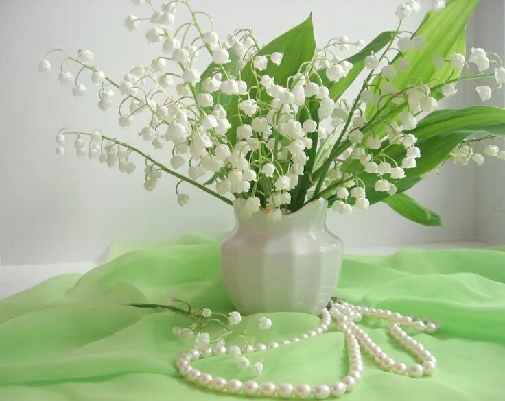 Картинка ландыши с днем рождения женщине Lily of the valley, Flowers, Flower wall
