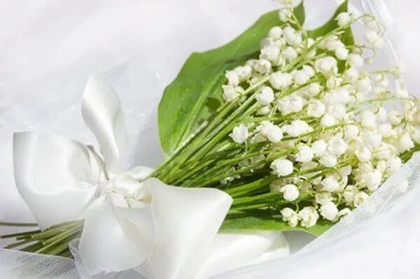 Картинка ландыши с днем рождения женщине Bridal Bouquet Pictures Lily of the valley bouquet, Lily of the valley, Bridal b