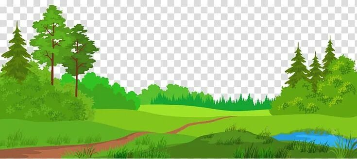 Картинка лес без животных Meadow , Cute Meadow transparent background PNG clipart Transparent background, 