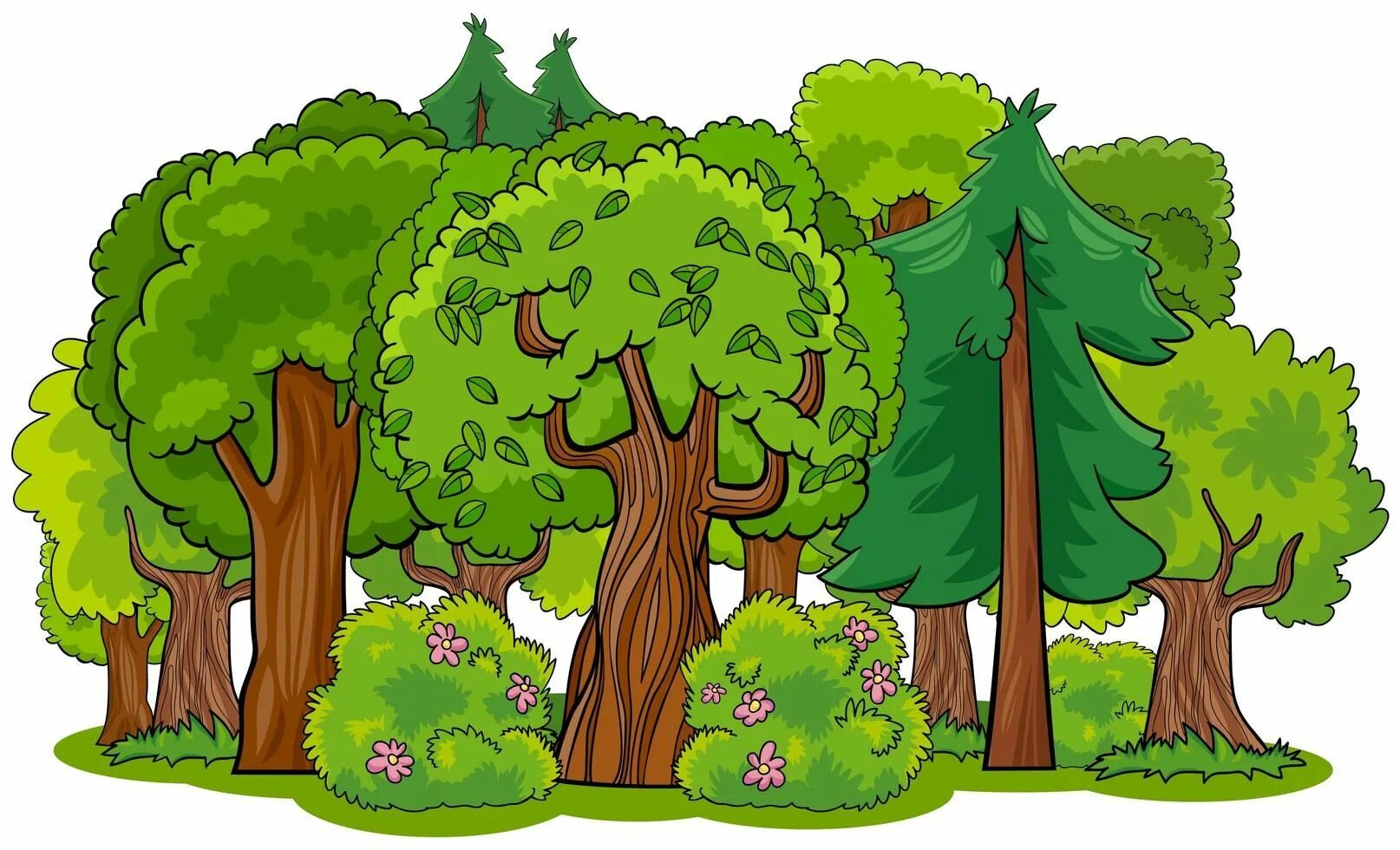 Картинка лес без животных Mixed forest with cartoon trees