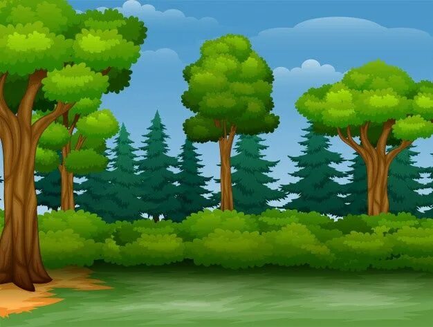 Картинка лес без животных Karikatur der baumansicht in einen wald Premium-Vektor Иллюстрация дерева, Цветн
