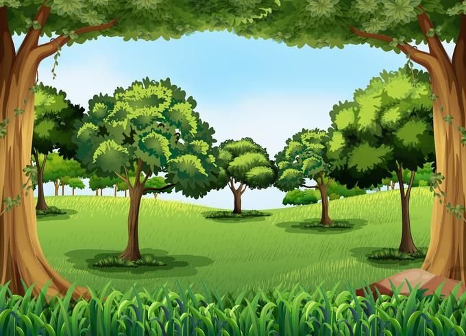 Картинка лес без животных для детей Forest Forest, Clip art, Scene