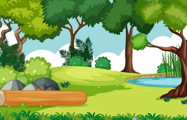 Картинка лес без животных для детей Cenário vazio do parque natural do fundo Vetor Grátis Paisajes de la selva, Ilus