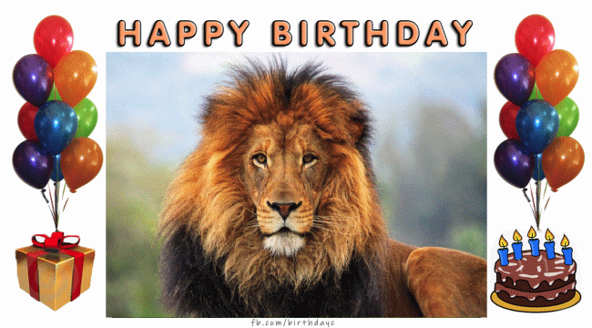 Картинка левы с днем рождения GRACE Happy Birthday
