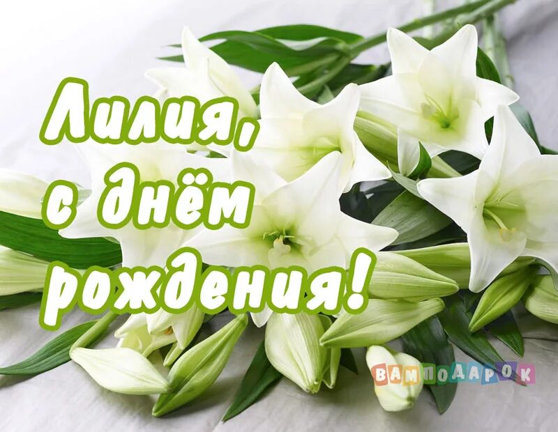Картинка лиля с днем рождения женщине Поздравления по имени Лилия