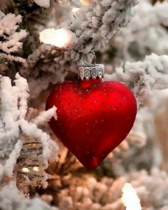 Картинка любимому новый год Pin by Priya on little love cute Christmas ornaments, Christmas aesthetic, Chris