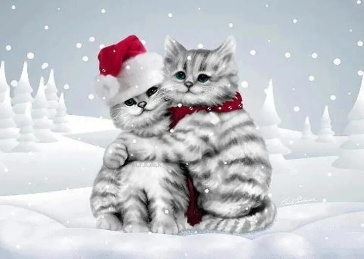 Картинка любимому новый год Pin by Dene Wells on Christmas JOY Christmas cats, Christmas kitten, Christmas a