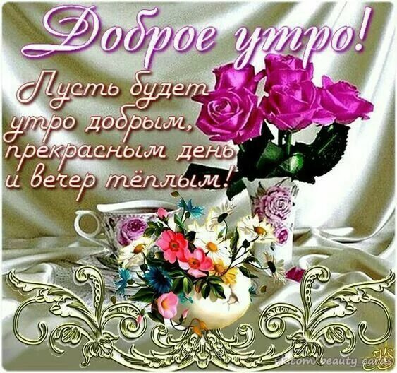 Картинка марина хорошего дня Пин от пользователя Евгения Романюта на доске Доброе утро Доброе утро, Поздравит