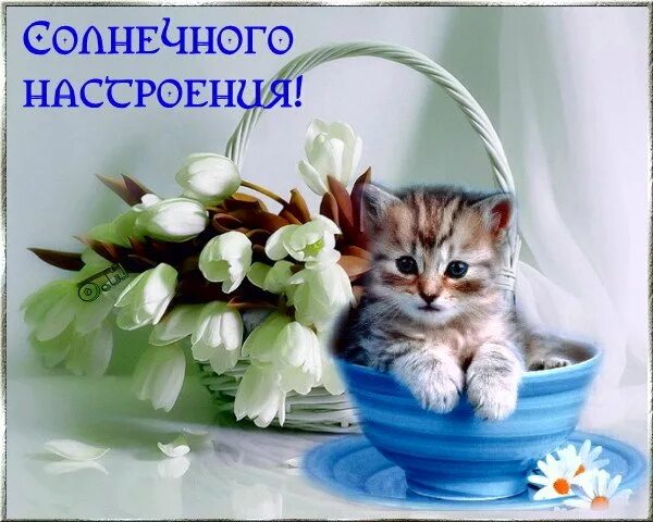 Картинка марина хорошего дня Открытка настроение