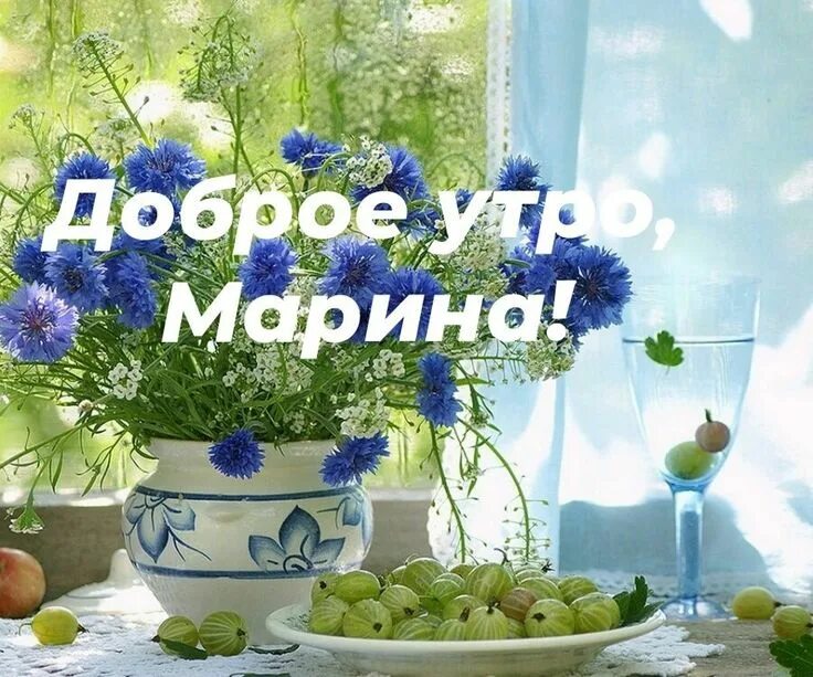 Картинка марина хорошего дня Марина доброе утро Plants