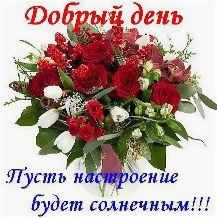 Картинка марина хорошего дня ДОБРЫЙ ДЕНЬ Праздничные цитаты, Открытки, Картинки
