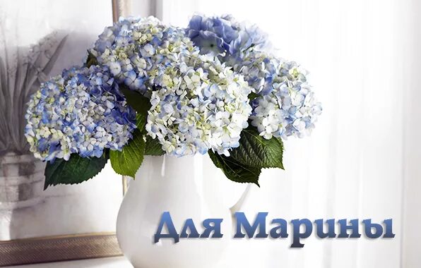 Картинка марина хорошего дня Картинки с именами Для Марины.