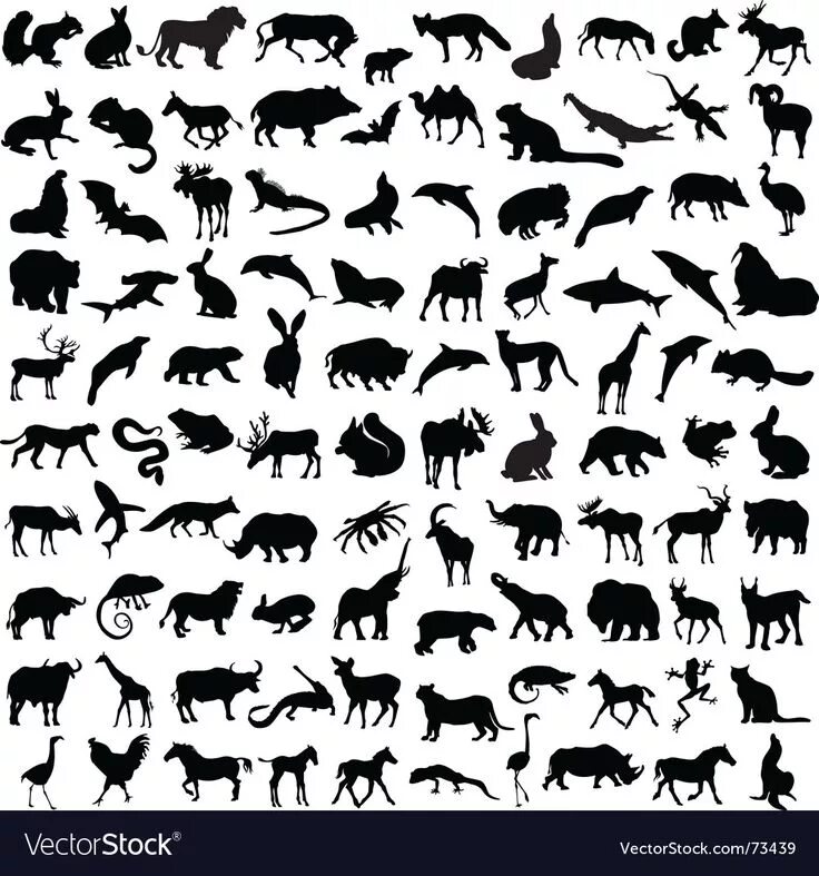 Картинка маркировка животных Animals silhouettes vector image on VectorStock in 2024 Animal silhouette, Anima