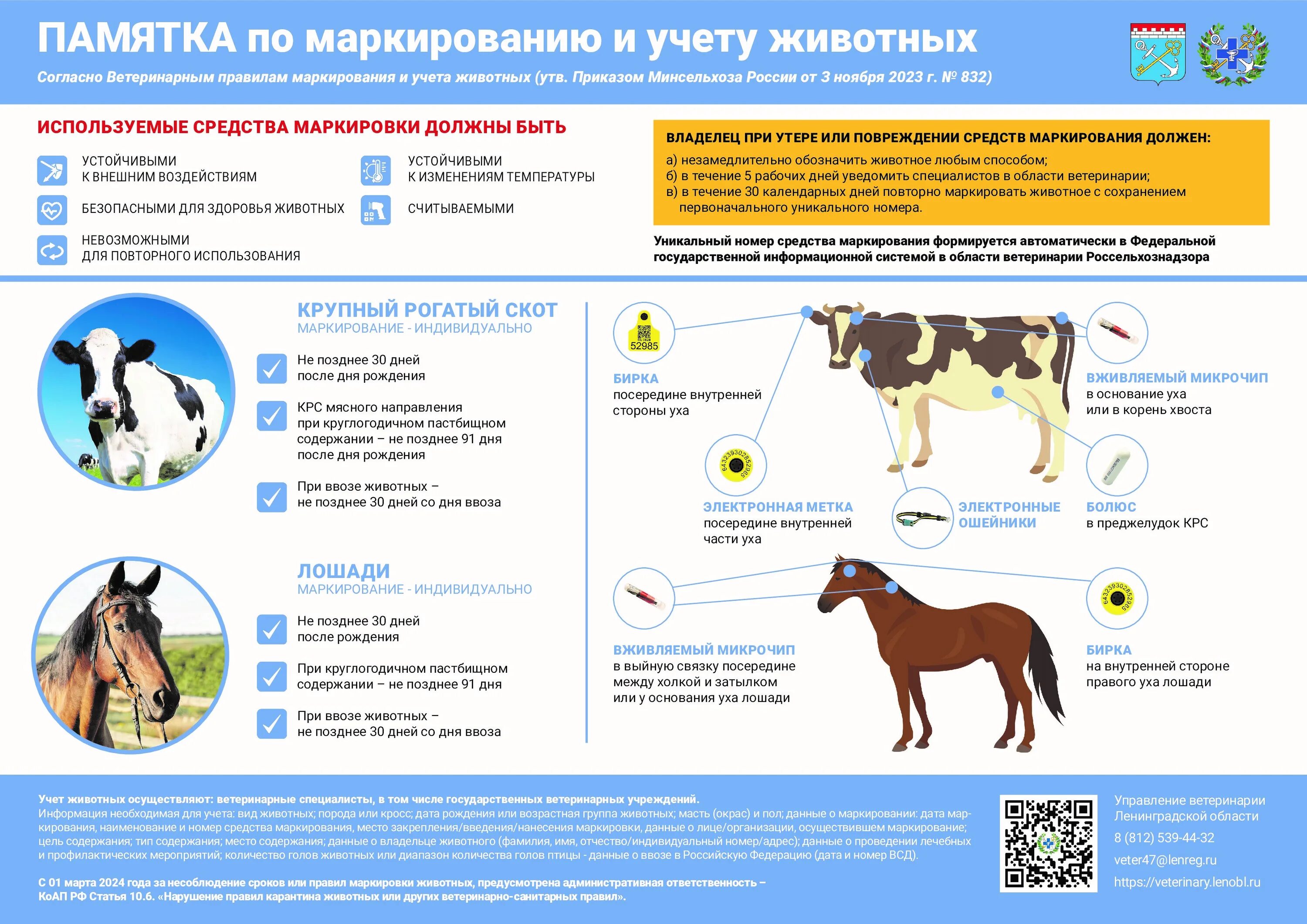 Картинка маркировка животных Средства маркирования сельхоз животных, которые станут обязательными в этом году