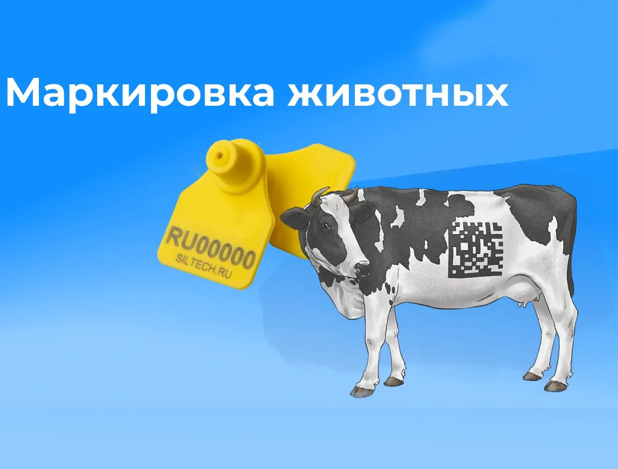 Картинка маркировка животных Новости и репортажи