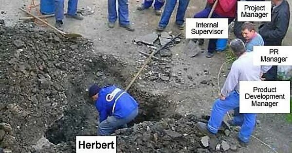 Картинка много начальников один работник Working in project management, this is what I have realized - Imgur