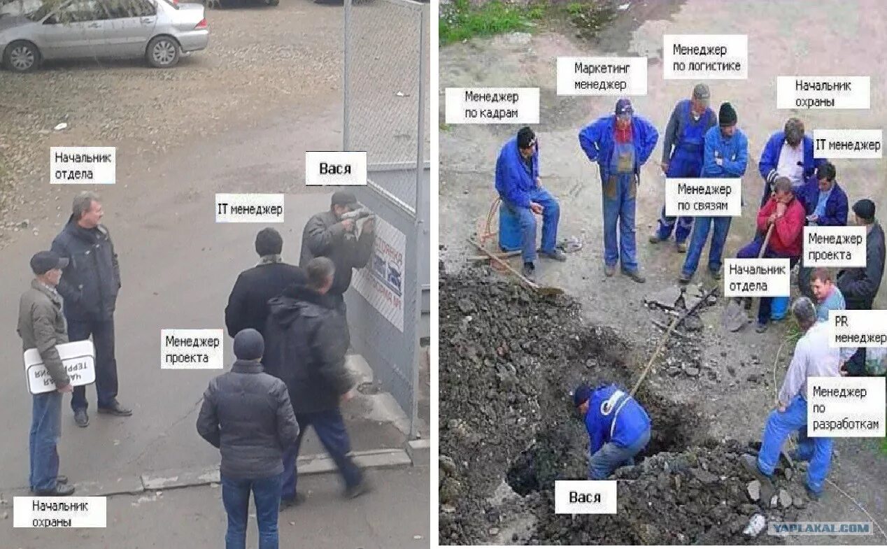 Картинка много начальников один работник Оформлен один работает другой: найдено 90 изображений