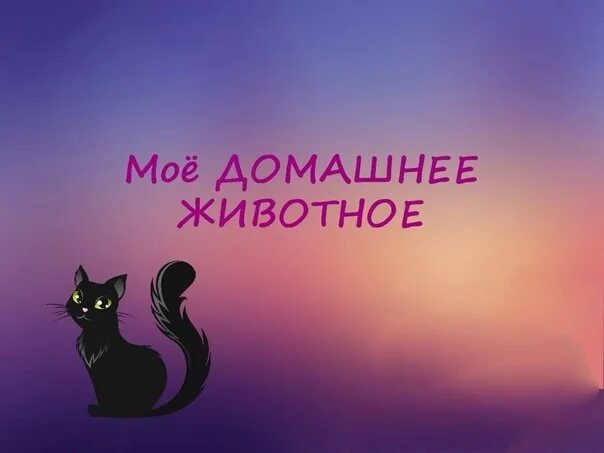 Картинка мое любимое животное Приветик))) Давайте проведем фото-батл "Ваш любимый домашний питомец" (кошка,соб
