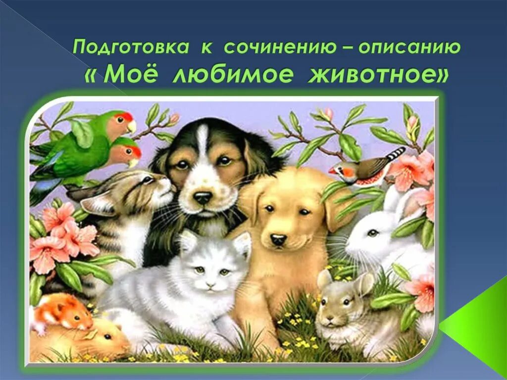 Картинка мое любимое животное Моë любимое животное: найдено 88 изображений