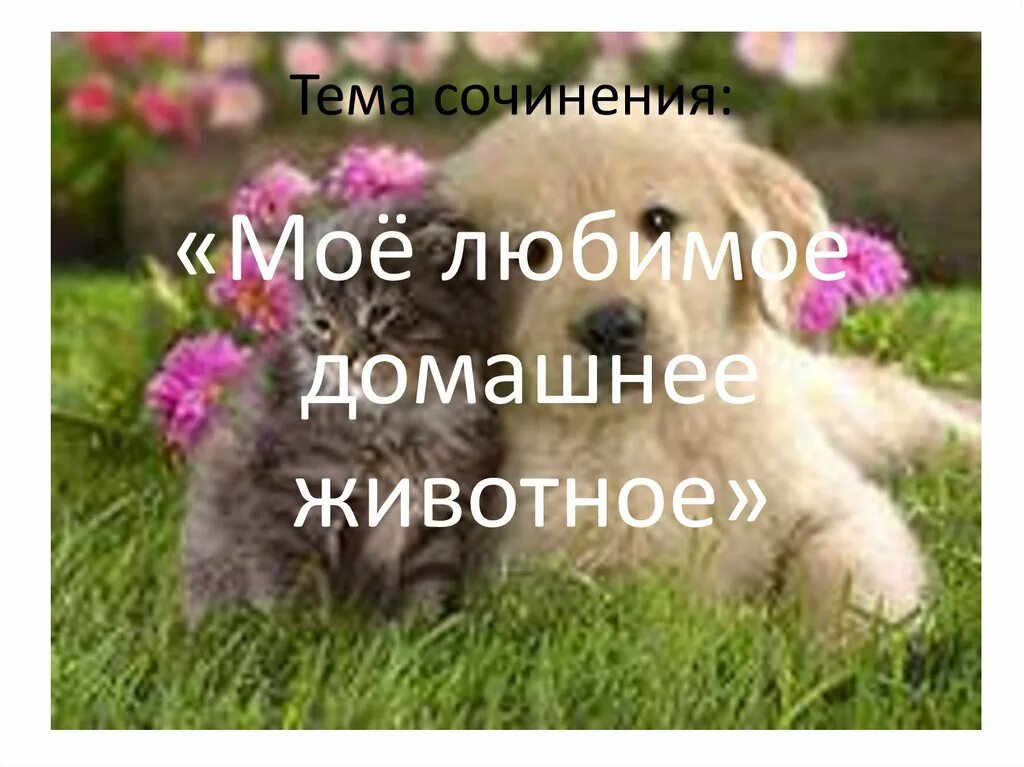 Картинка мое любимое животное Учимся писать сочинение - презентация онлайн