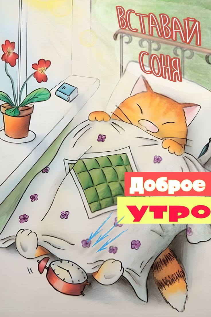Картинка мультяшная с добром утром Доброе утро в 2023 г Доброе утро, Открытки, Сон