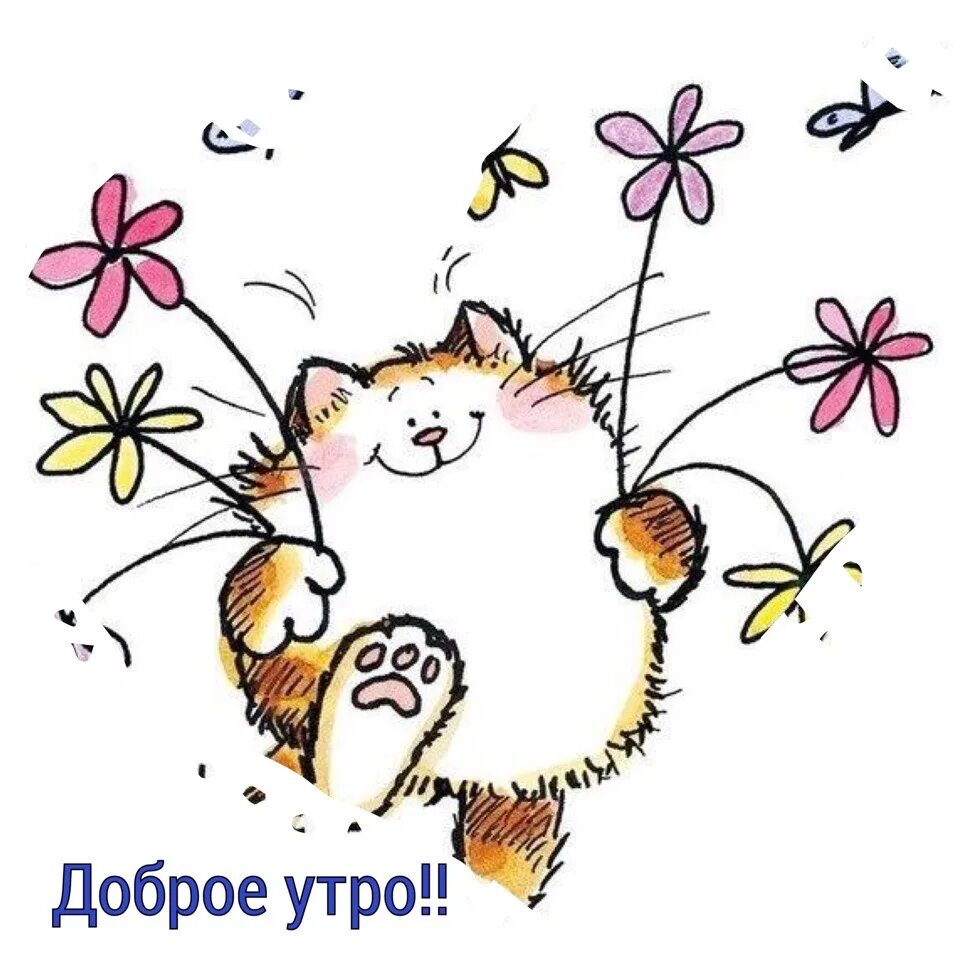 Картинка мультяшная с добром утром Картинка мультяшная с добром утром: найдено 86 изображений
