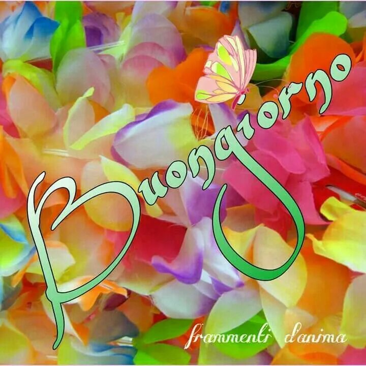 Картинка на итальянском хорошего дня Pin by Enza Giannone on Buongiorno buonanotte ecc.. Flowers, The magic faraway t