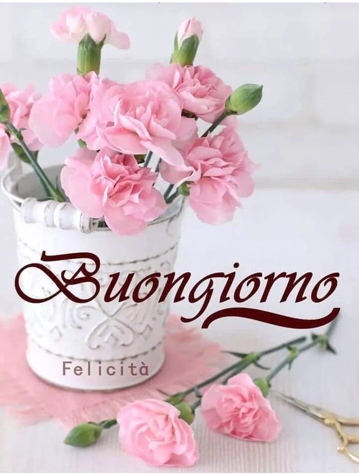 Картинка на итальянском хорошего дня #Good morning #Buona giornata #Flowers #Fiori Buongiorno, Auguri di buongiorno, 