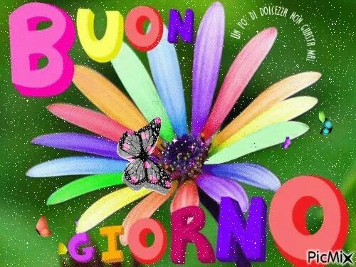 Картинка на итальянском хорошего дня Buongiorno