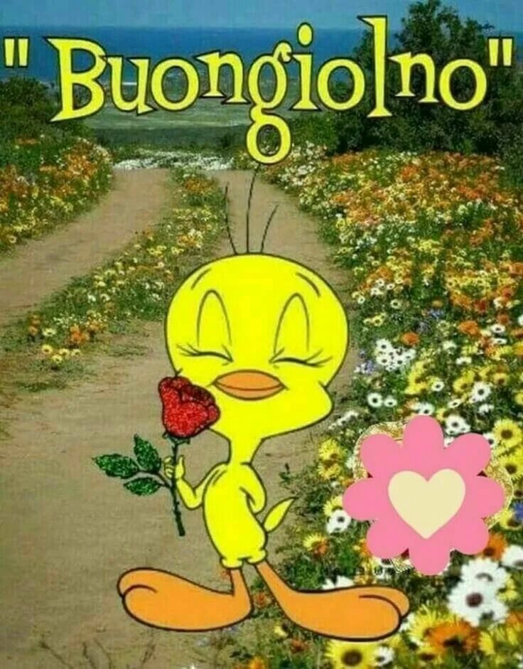 Картинка на итальянском хорошего дня Pin by Vanessa Calò on BuonGiorno01 Cute cartoon pictures, Morning greeting, Goo