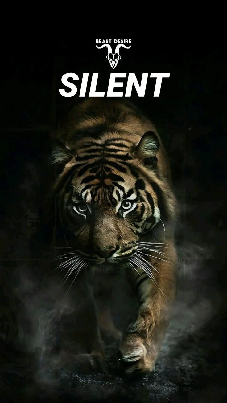 Картинка на телефон заставка животные Pin on Motivație Beast quotes, Warrior quotes, Wild animals photography