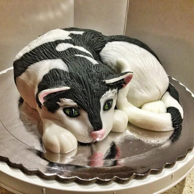 Картинка на торт животные cat cake ★ More on #cats - Get Ozzi Cat Magazine here http://OzziCat.com.au ★ Ca
