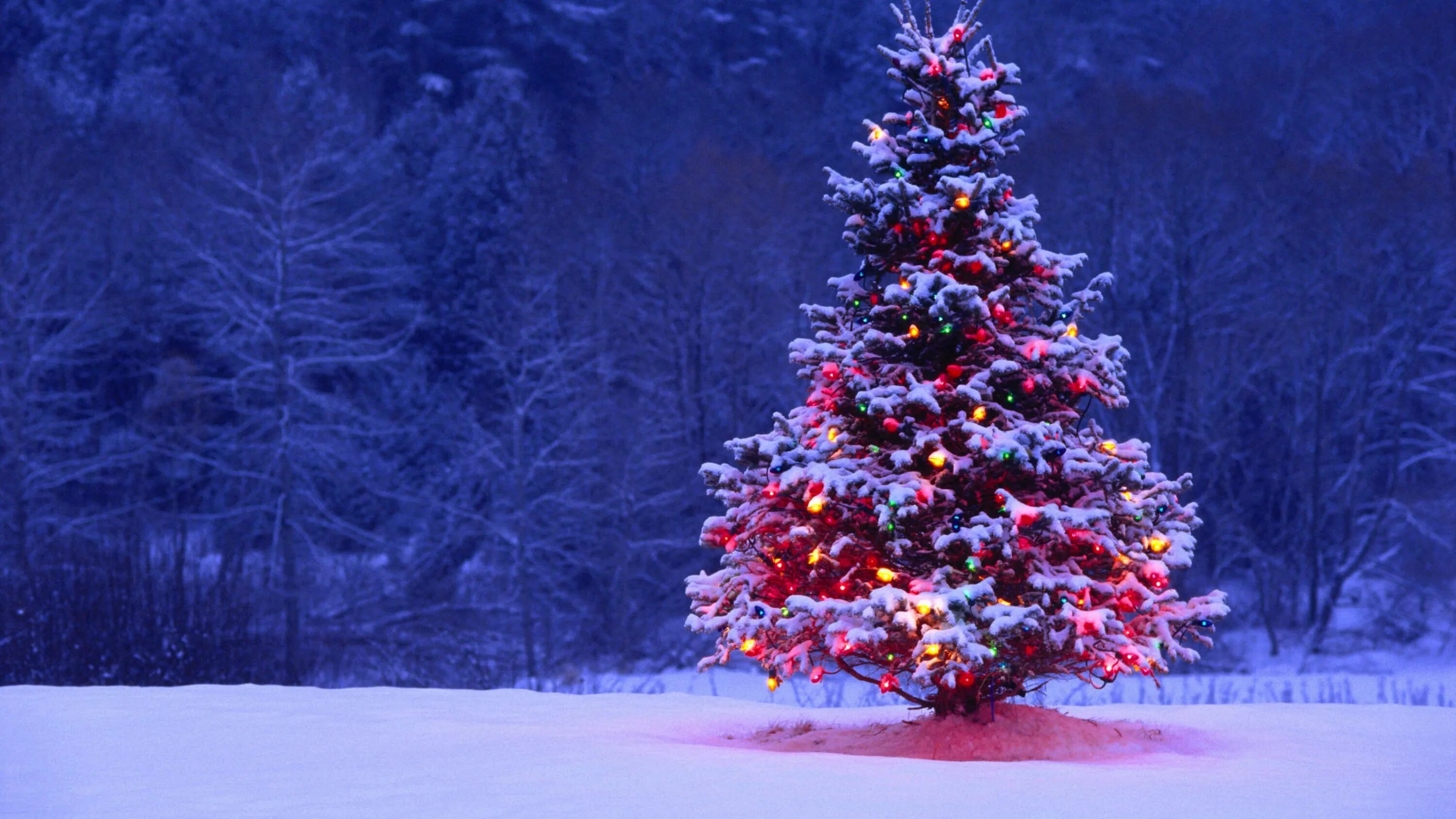 Картинка начало нового года Wallpaper Christmas Day, Christmas Tree, Christmas Decoration, Winter, Tree, Bac