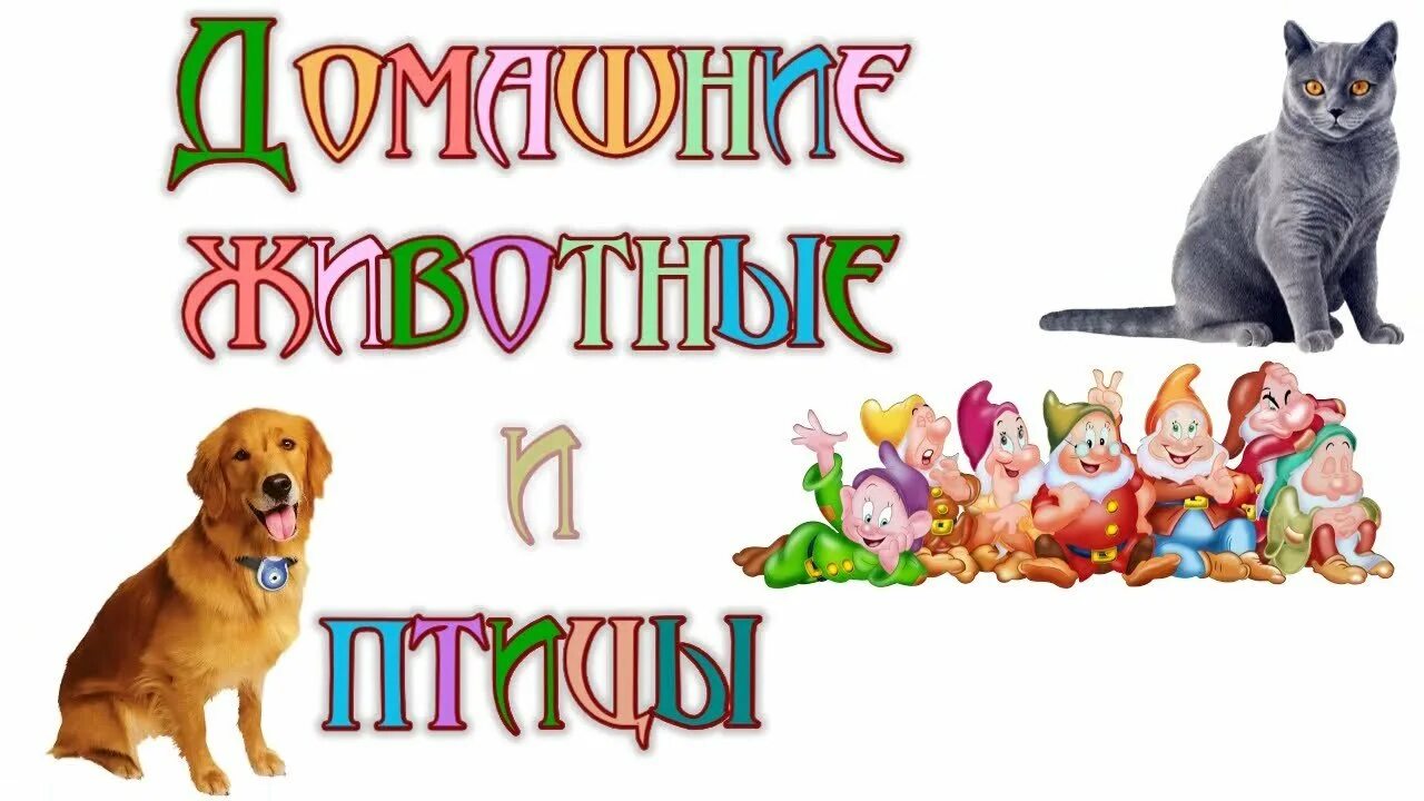 Картинка надпись домашние животные Надпись домашние животные: найдено 87 картинок