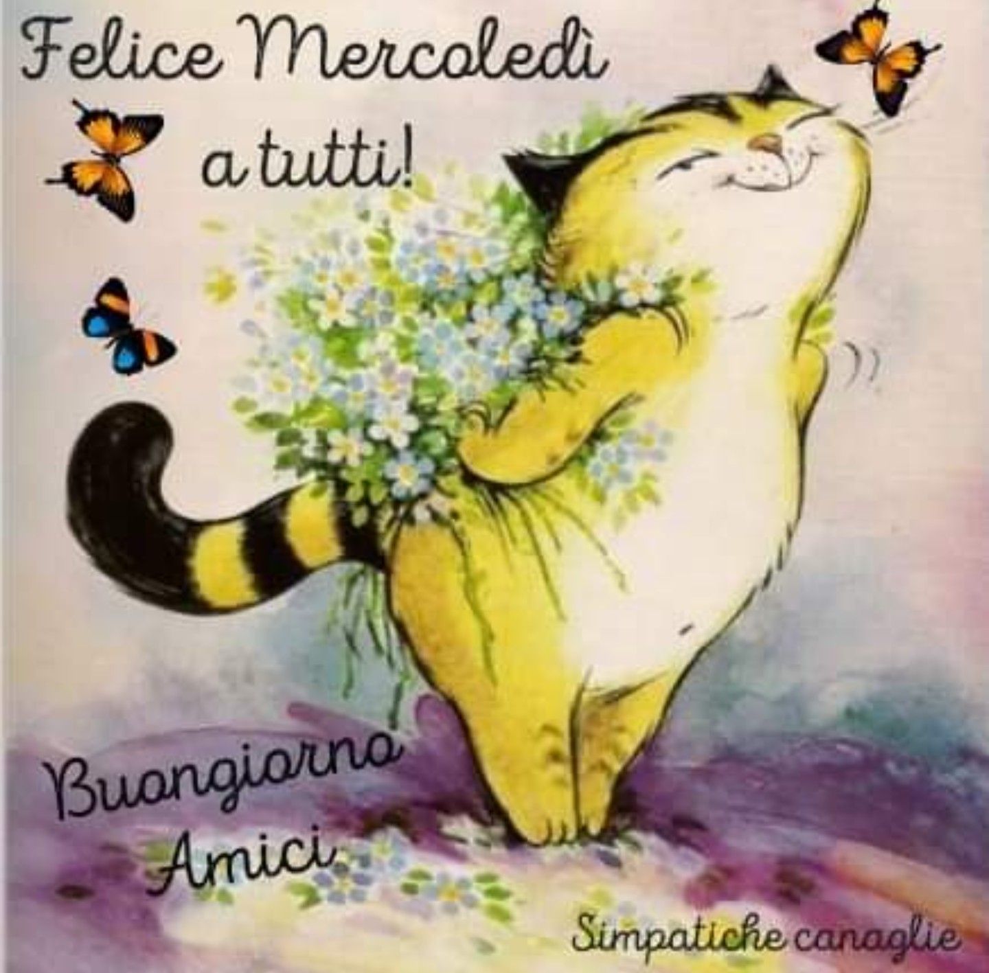 Картинка нарисованная хорошего дня buongiorno mercoledì Buongiorno mercoledì, Buon mercoledì, Buongiorno