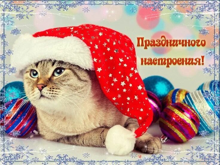 Картинка настроение новый год Пин от пользователя Римма на доске НОВЫЙ ГОД! РОЖДЕСТВО! КРЕЩЕНИЕ ГОСПОДНЕ! Откр