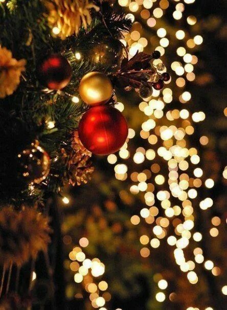 Картинка настроение новый год Регина Петросова. Запись со стены. Christmas wallpaper, Christmas, Christmas lig