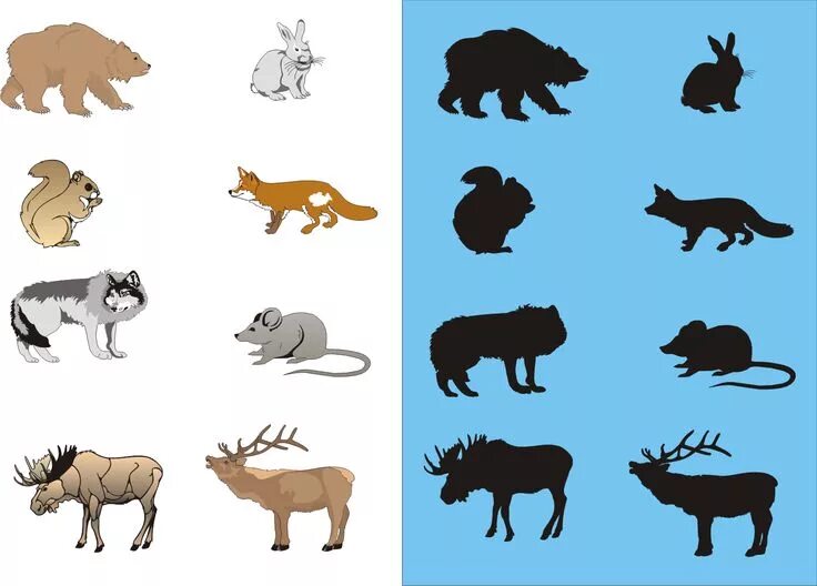 Картинка найди диких животных Pin on zwierzęta Forest animals, Animals, Animal drawings