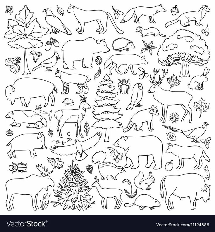 Картинка найти 7 животных Forest Animals Royalty Free Vector Image Animal coloring pages, Coloring pages, 