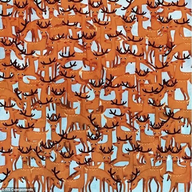 Картинка найти 7 животных Can you spot all SEVEN objects hidden among the Santas? Brain teasers, Hidden im