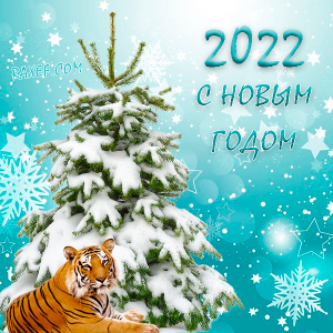 Картинка новый год 2024 пожелание Новости - ГБУЗ "Белинская районная больница"