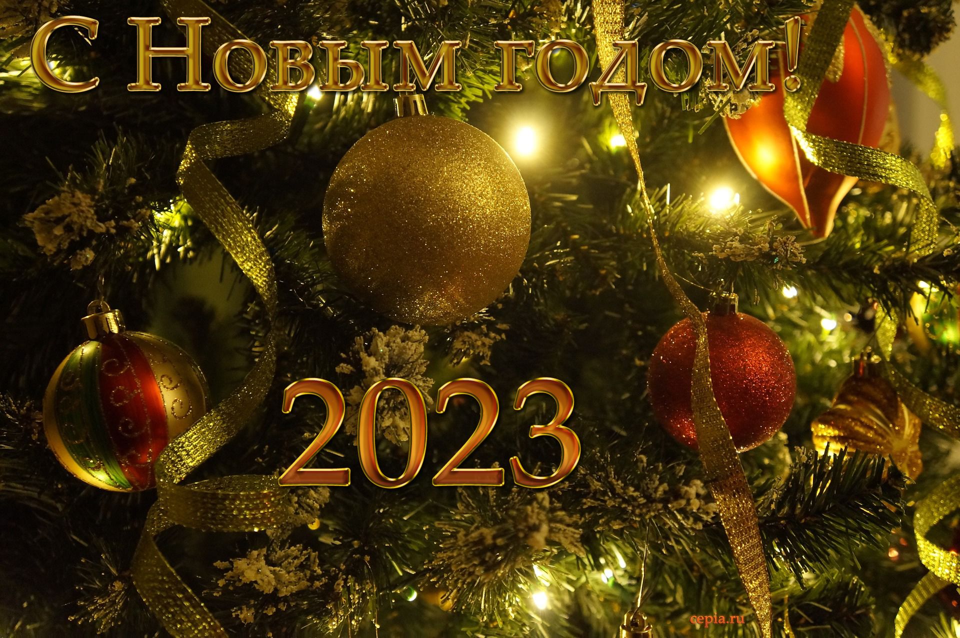 Картинка новый год 2024 скачать бесплатно Новый 2024 год фрукты