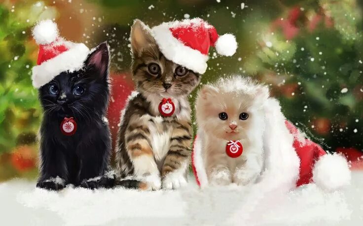 Картинка новый год котики Pin de шибаева евгения en Lorri Kajenna (лорри кайенна) Tarjetas navidad gato, I