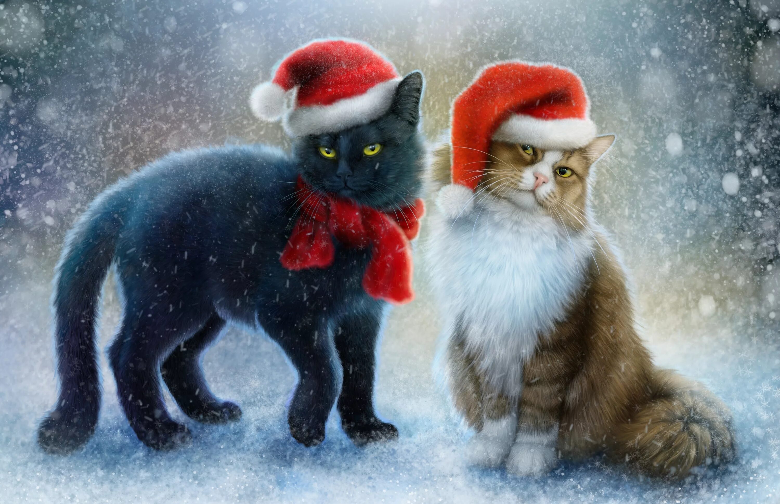 Картинка новый год котики Two painted cats in New Year's hats on snow Desktop wallpapers 1680x1050