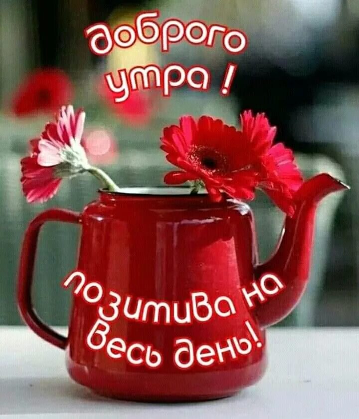 Картинка очень хорошим позитивным утром Pin by Nnevicana on Доброе утро Good morning gif, Good morning wishes, Good morn