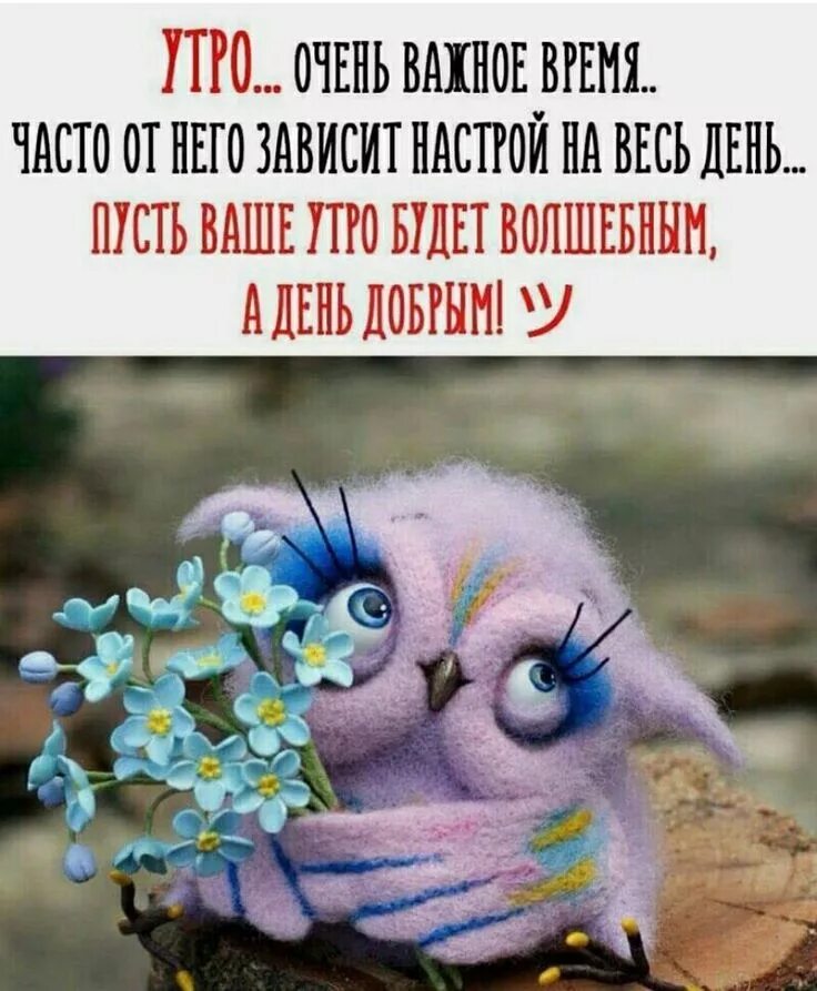 Картинка очень хорошим позитивным утром Pin auf сова Karten mit sprüchen, Dekoration weihnachten basteln, Filztiere