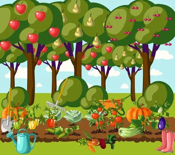 Картинка огорода и животных papiers pour creas multicolores Cartoon garden, Murals for kids, Free clip art