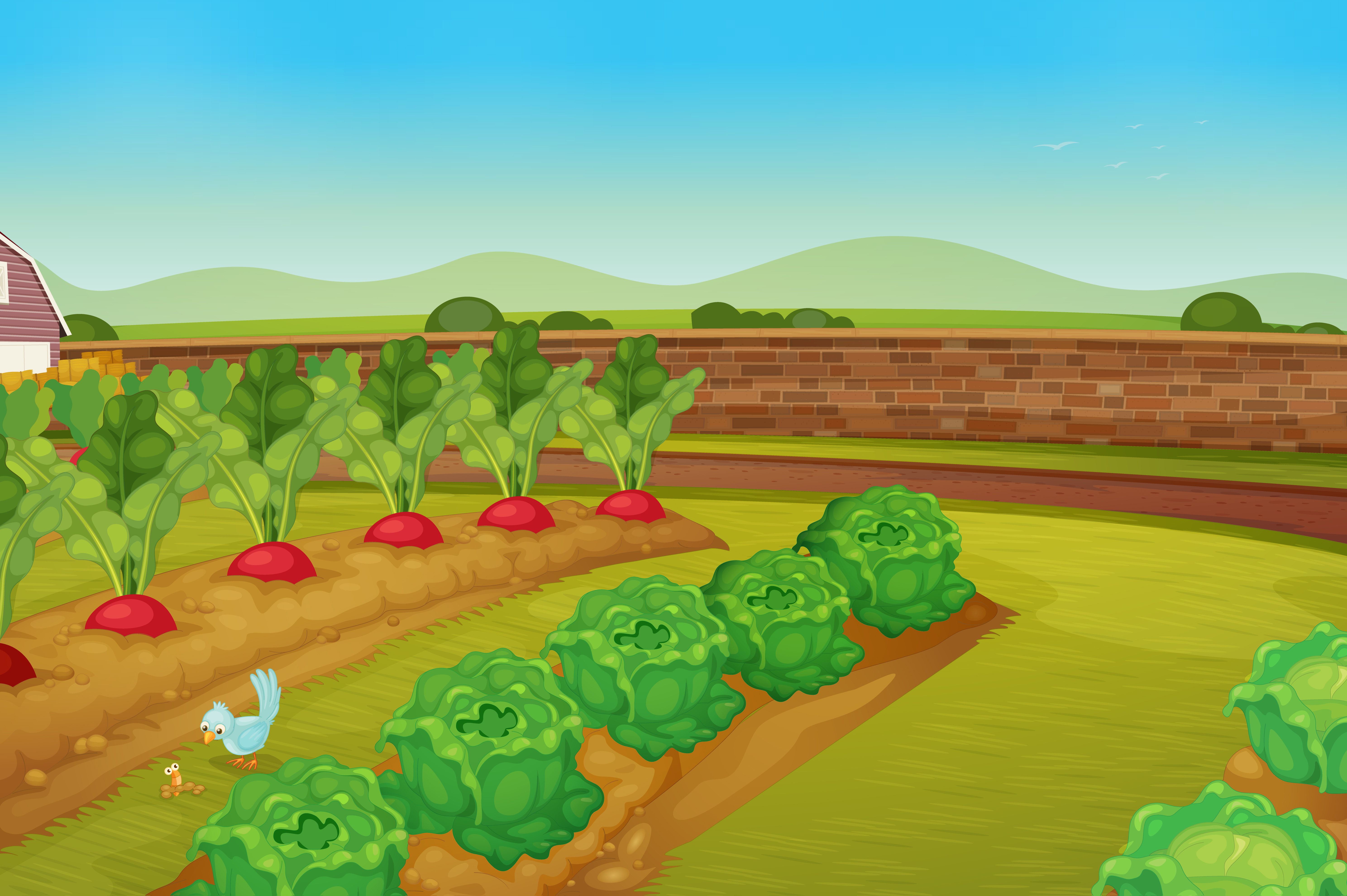 Картинка огорода и животных garden 419437 Vector Art at Vecteezy