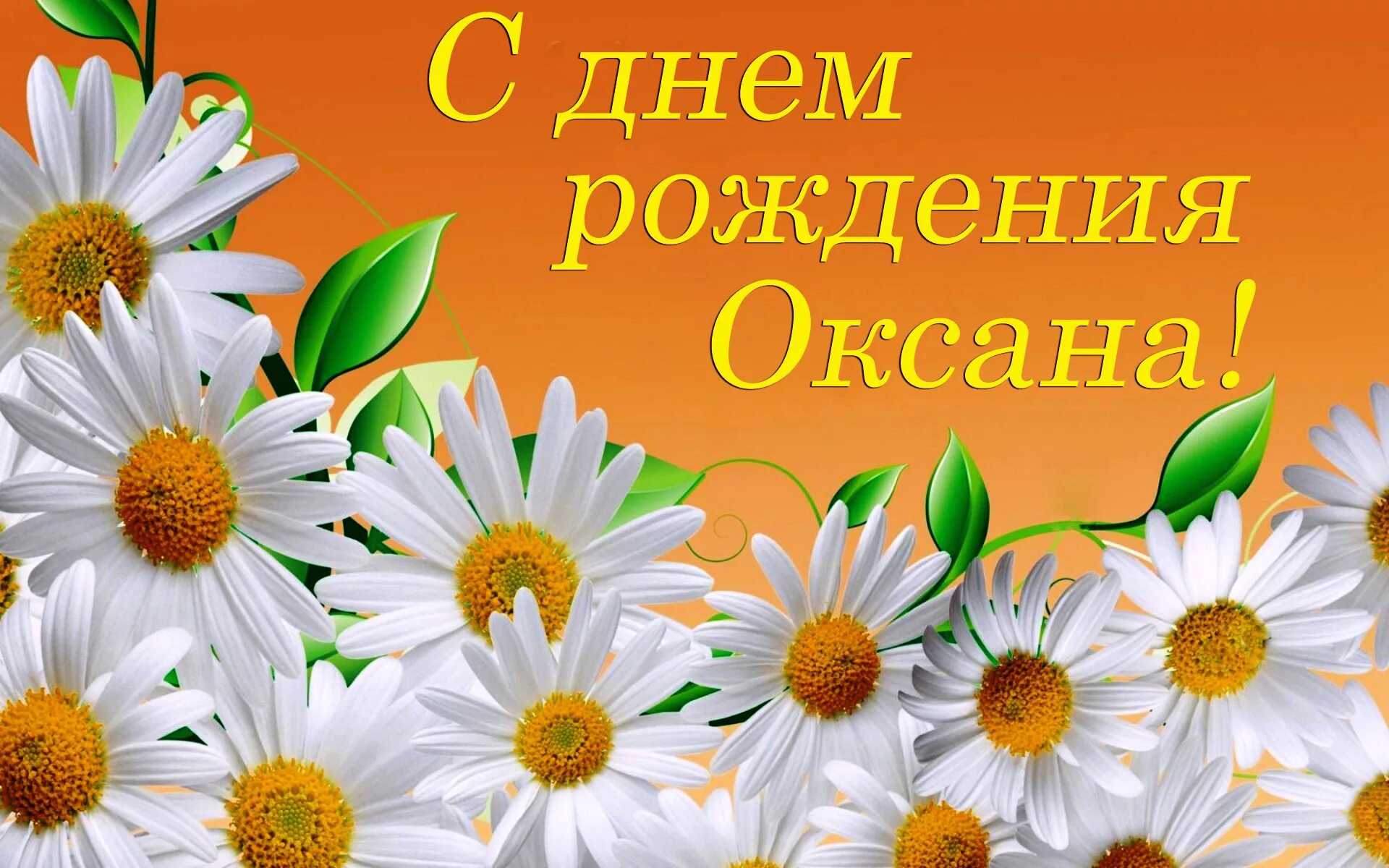 Картинка оксана с днем рождения с пожеланиями С днем рождения Оксана! Красивые и прикольные поздравления Ксюше в стихах и проз